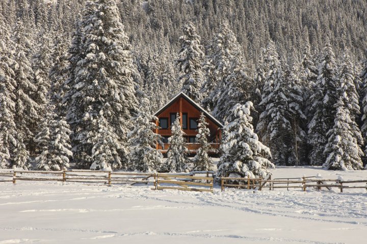 Christmas Season