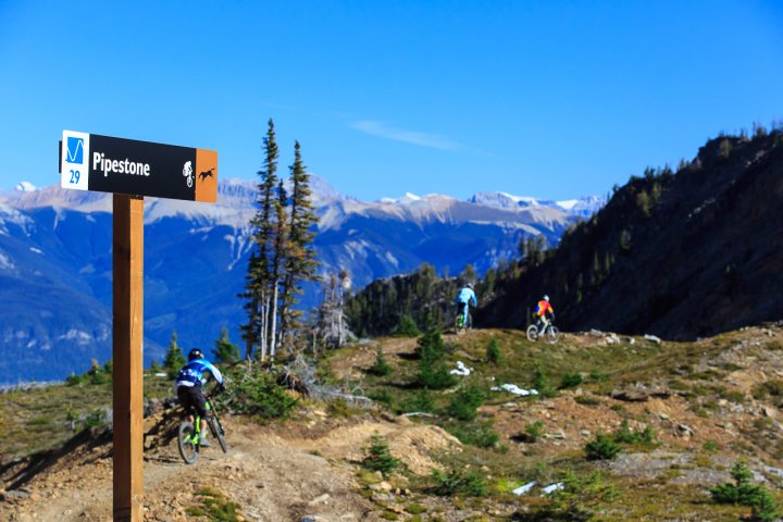 Downhill Mountain Biking